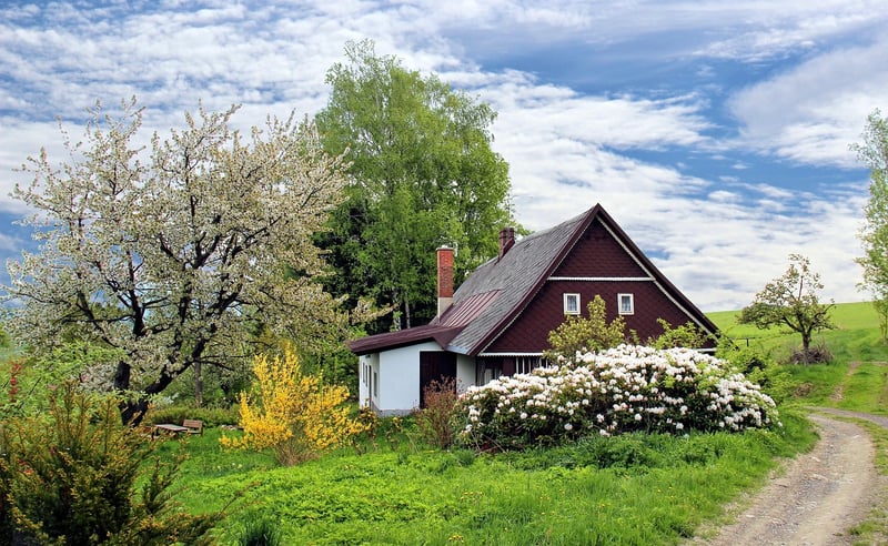 Cottage Garden