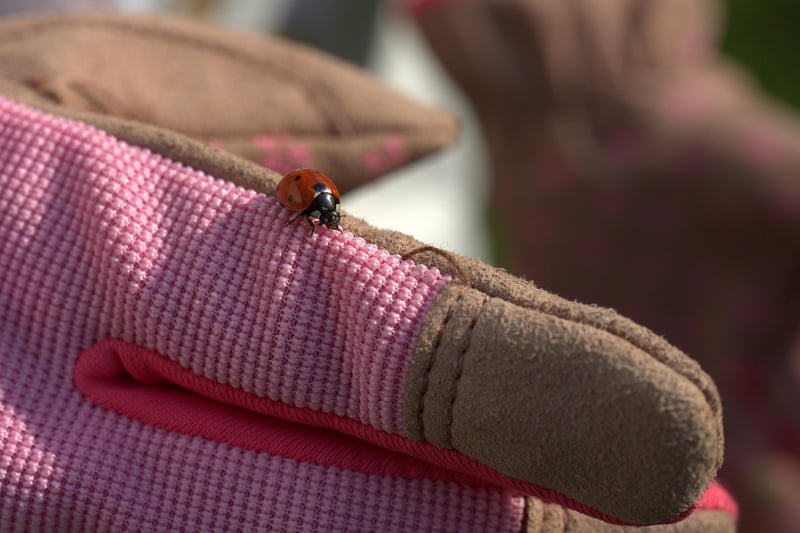 Gardening Gloves